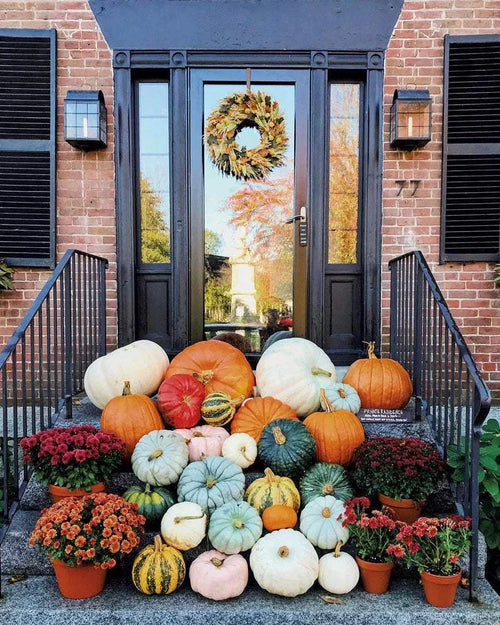 Front porch decorated with a variety of pumpkins, gourds, hay bale, mums, and an autumn wreath for the Premium Porch Package